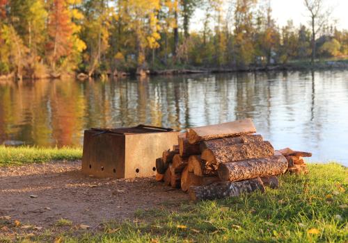 Firewood