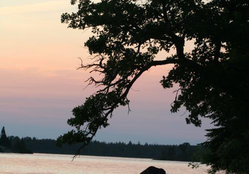 eleanorlake  048.jpg