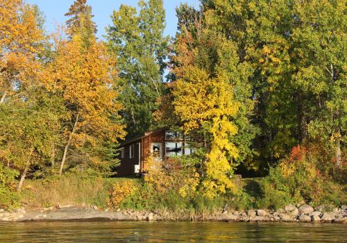 Garden of cabins 5 and 6