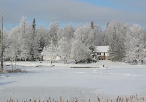 IMG_3417.JPG