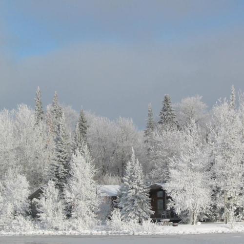 Winter Pictures