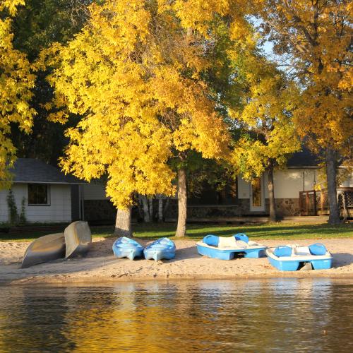 Autumn Pictures